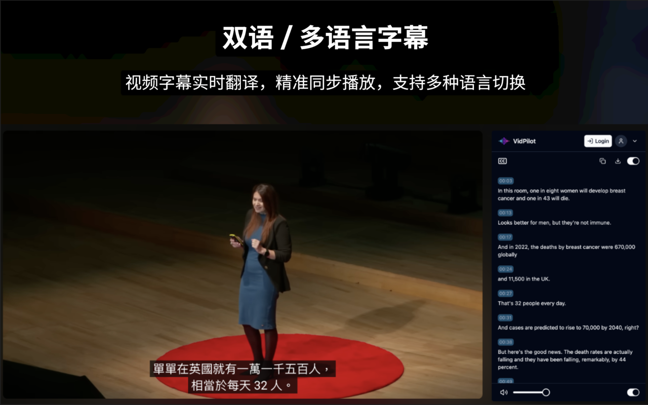VidPilot - 使用 ChatGPT & Claude & DeepSeek & Gemini 的 YouTube 视频总结、字幕翻译与中文配音 - 截图 3
