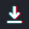 TikTok Video Downloader – No Watermark