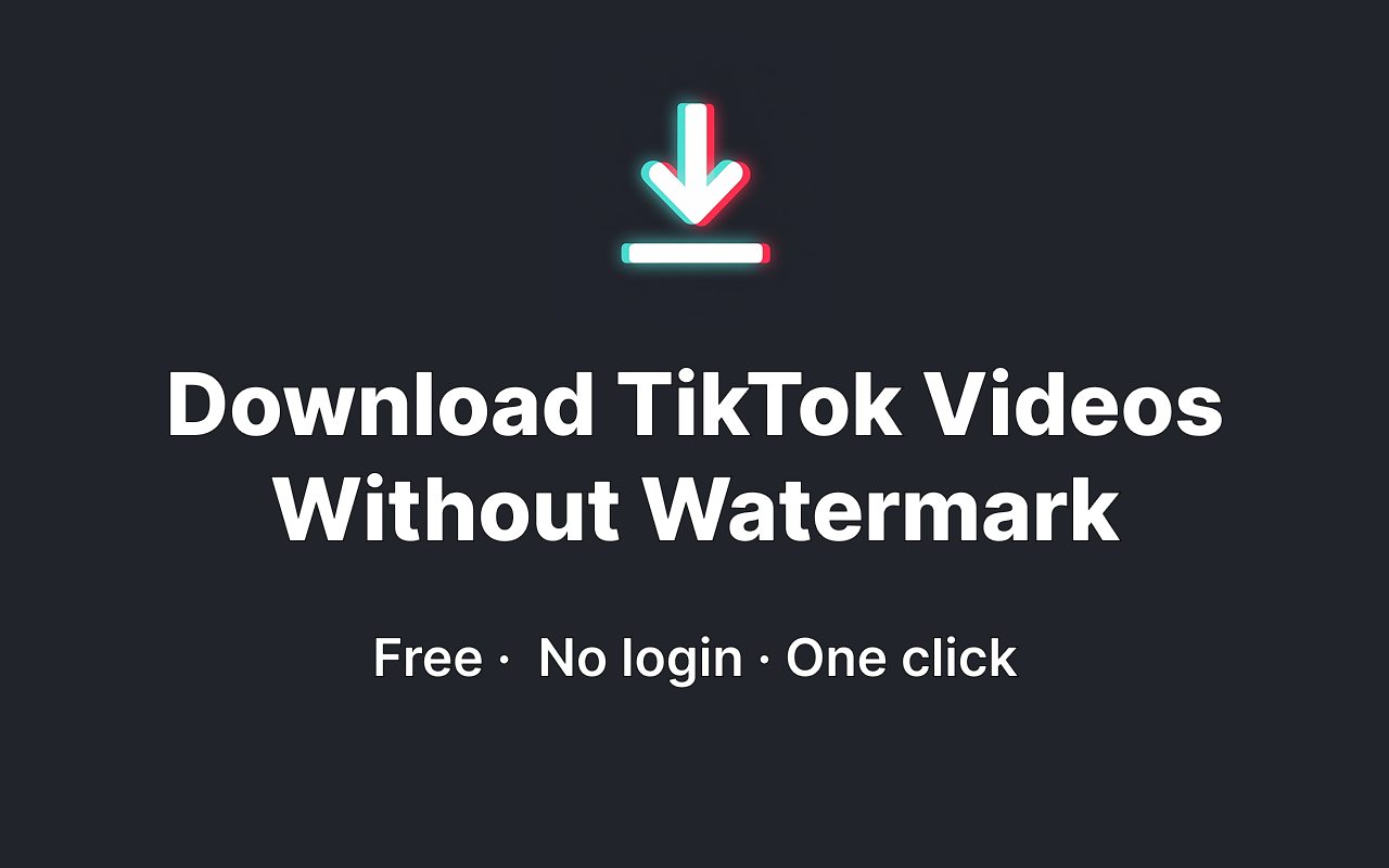 TikTok Video Downloader – No Watermark - 截图 2
