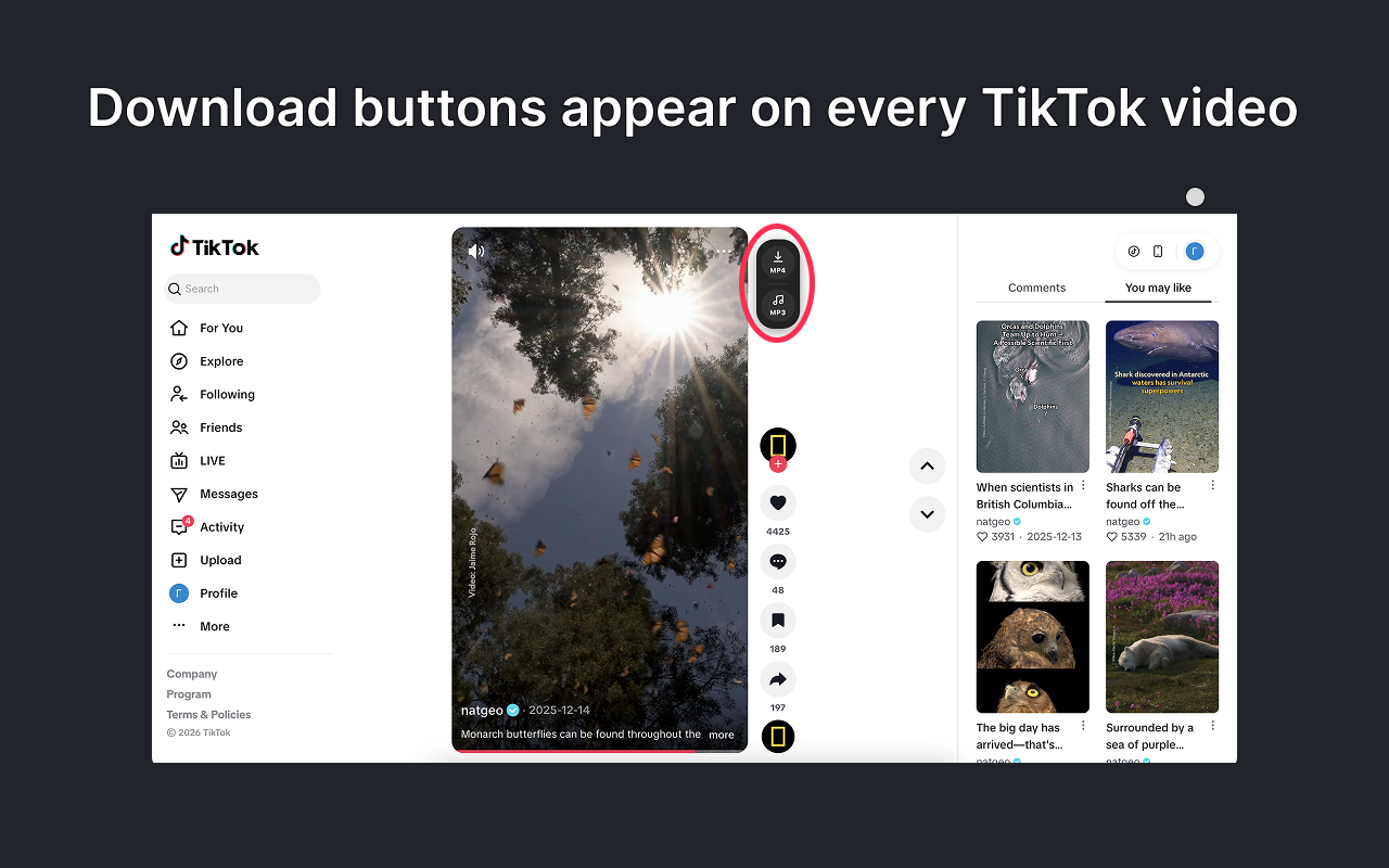 TikTok Video Downloader – No Watermark - 截图 3