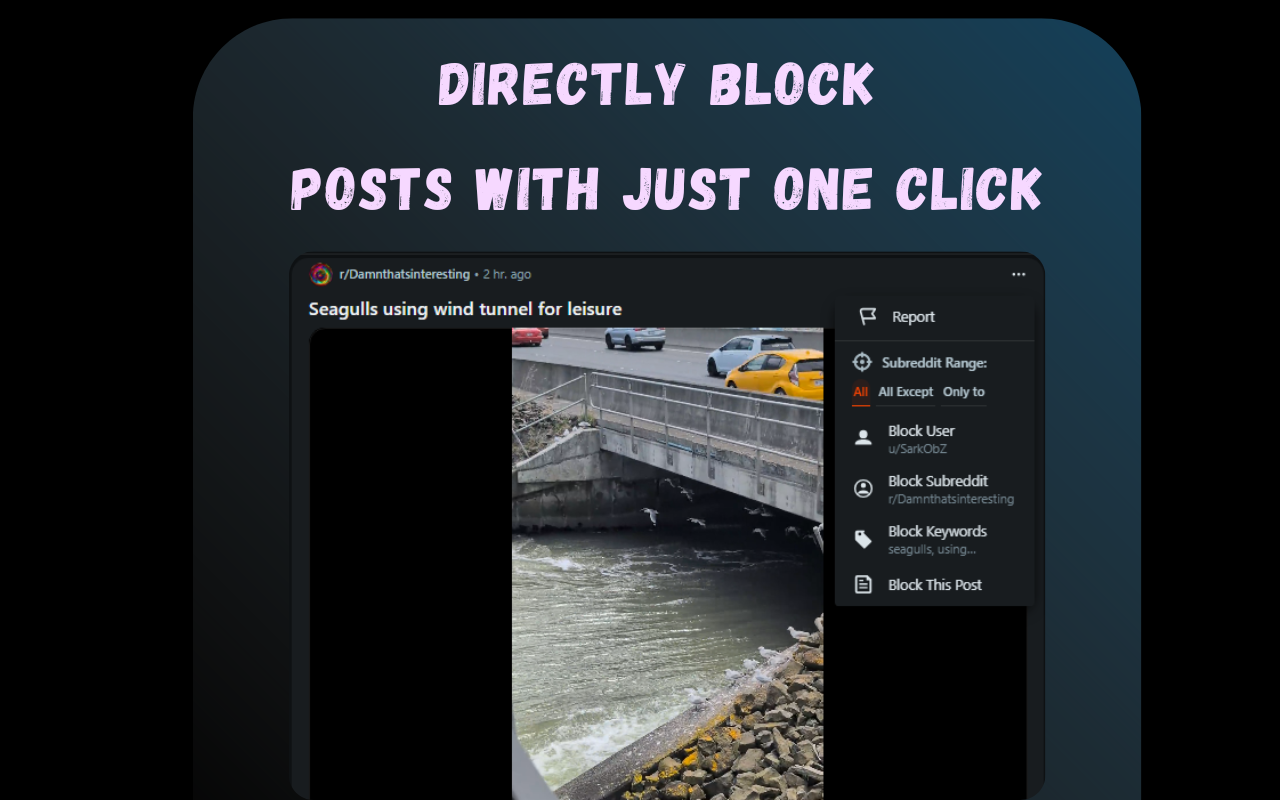 Ultimate Reddit Filter - 截图 3
