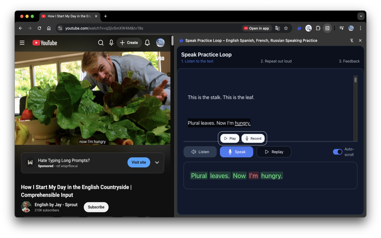 Speak Practice Loop – 语言练习 - 截图 2