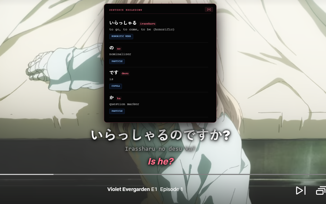 RemFluent: Netflix Language Learning - 截图 2