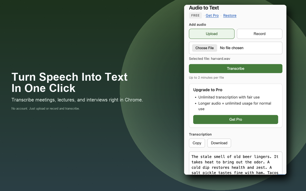 Audio to Text – Transcribe Voice & Files - 截图 3