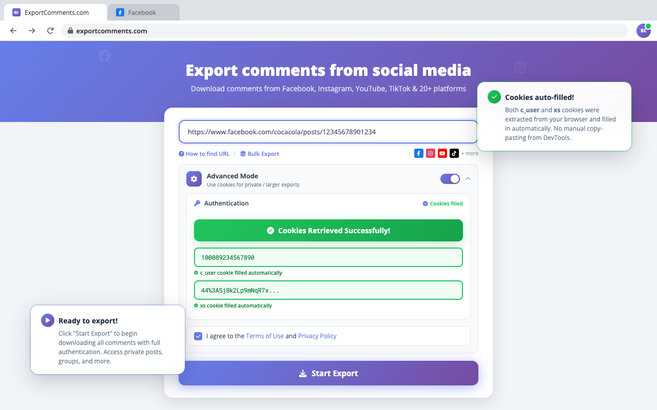 exportcomments.com - 截图 4