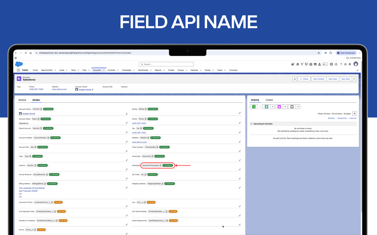 Salesforce Revamp - 截图 5
