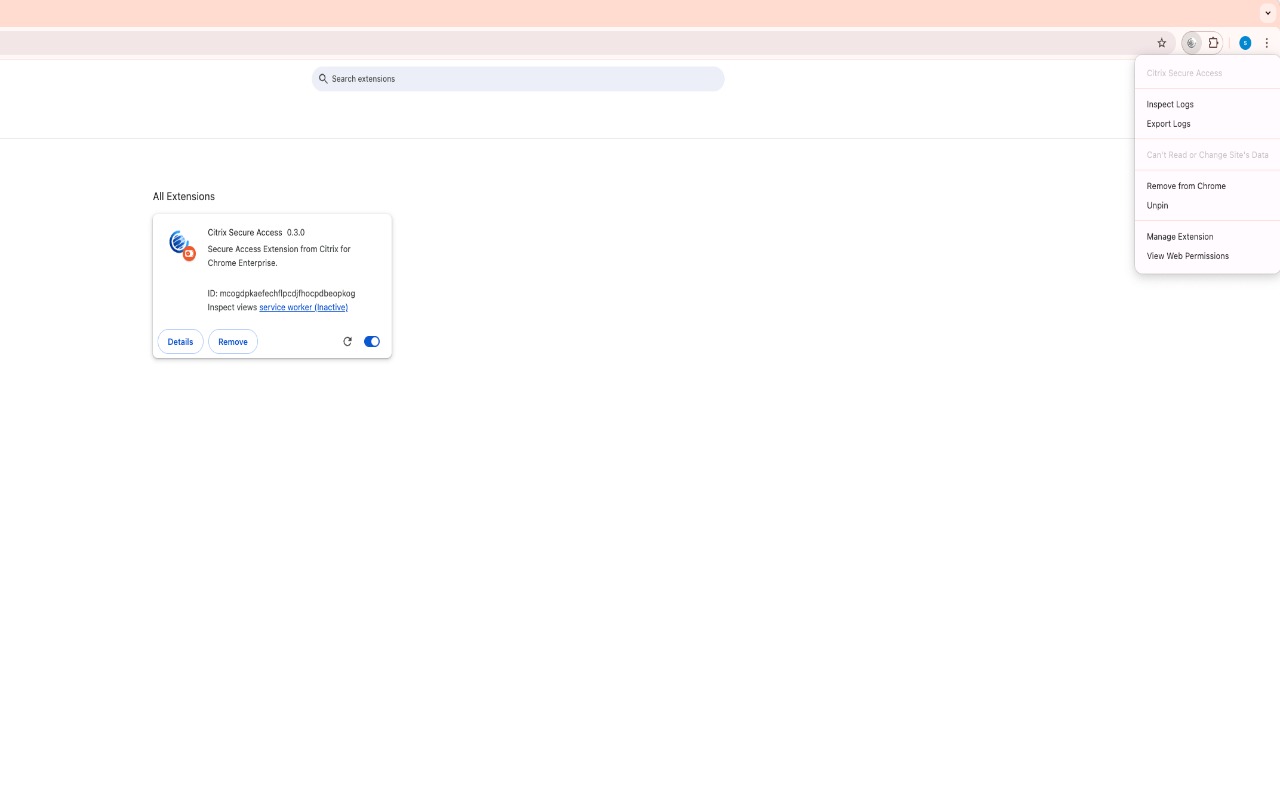 Citrix Secure Access - 截图 1