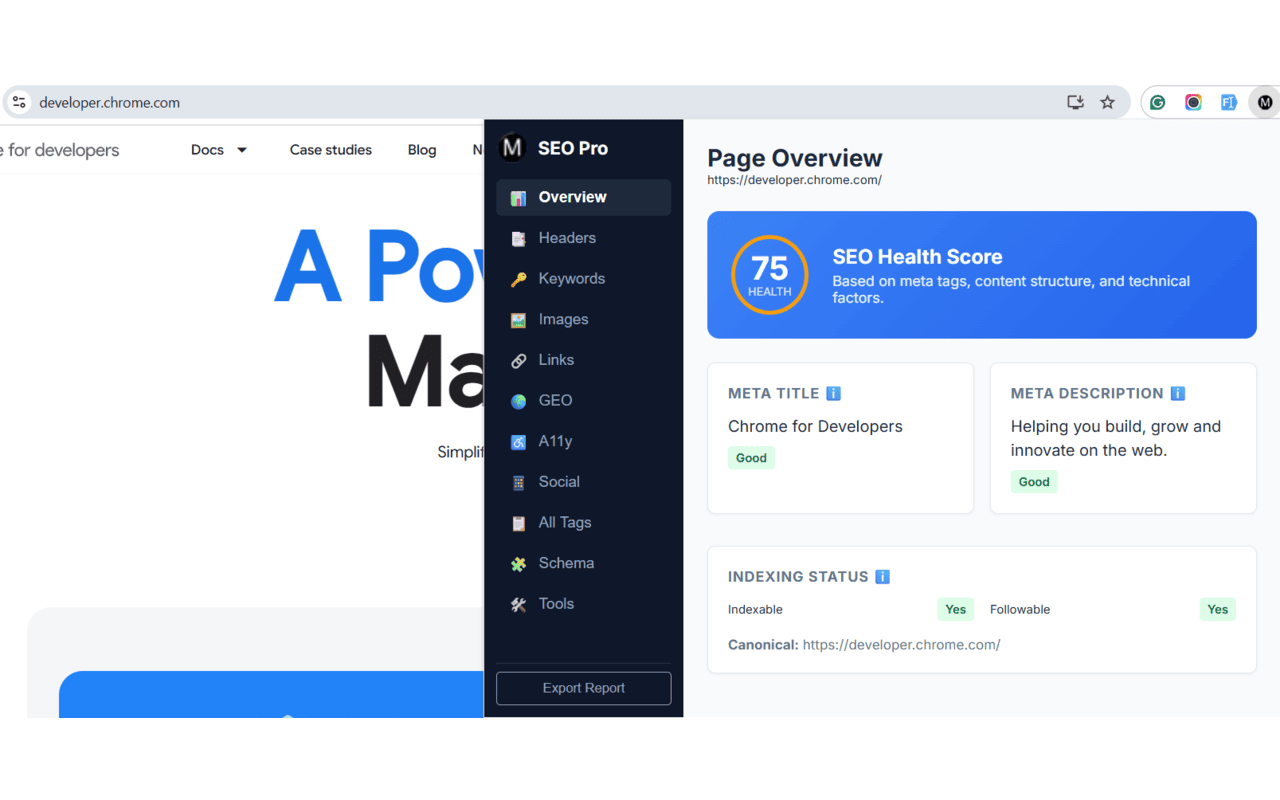 Meta Tags Pro - Advanced SEO, GEO & Accessibility Audit - 截图 3