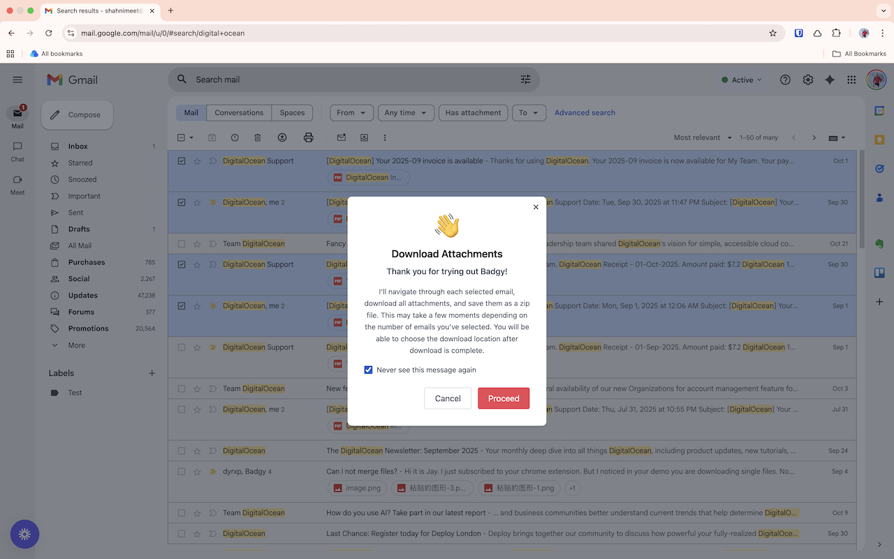 Badgy - Gmail attachments manager - 截图 3