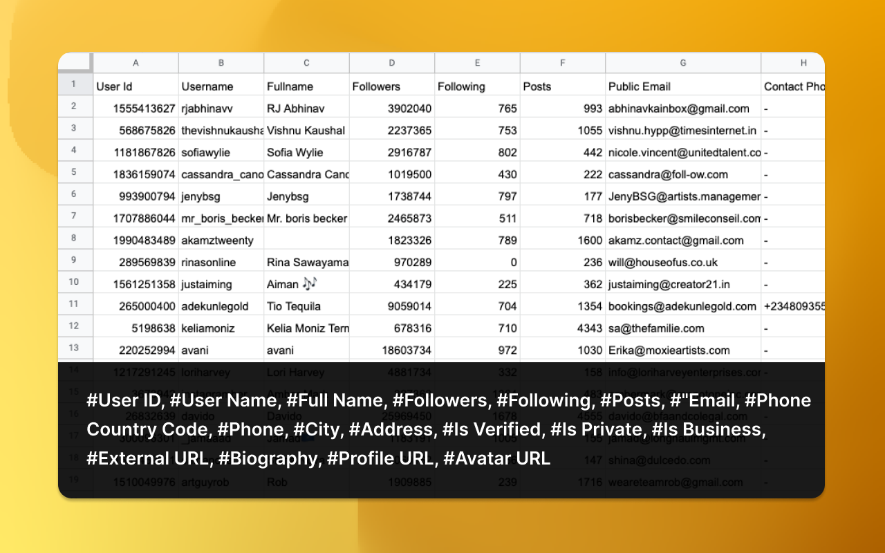 EmailFox - IG Email Extractor and Scraper - 截图 1