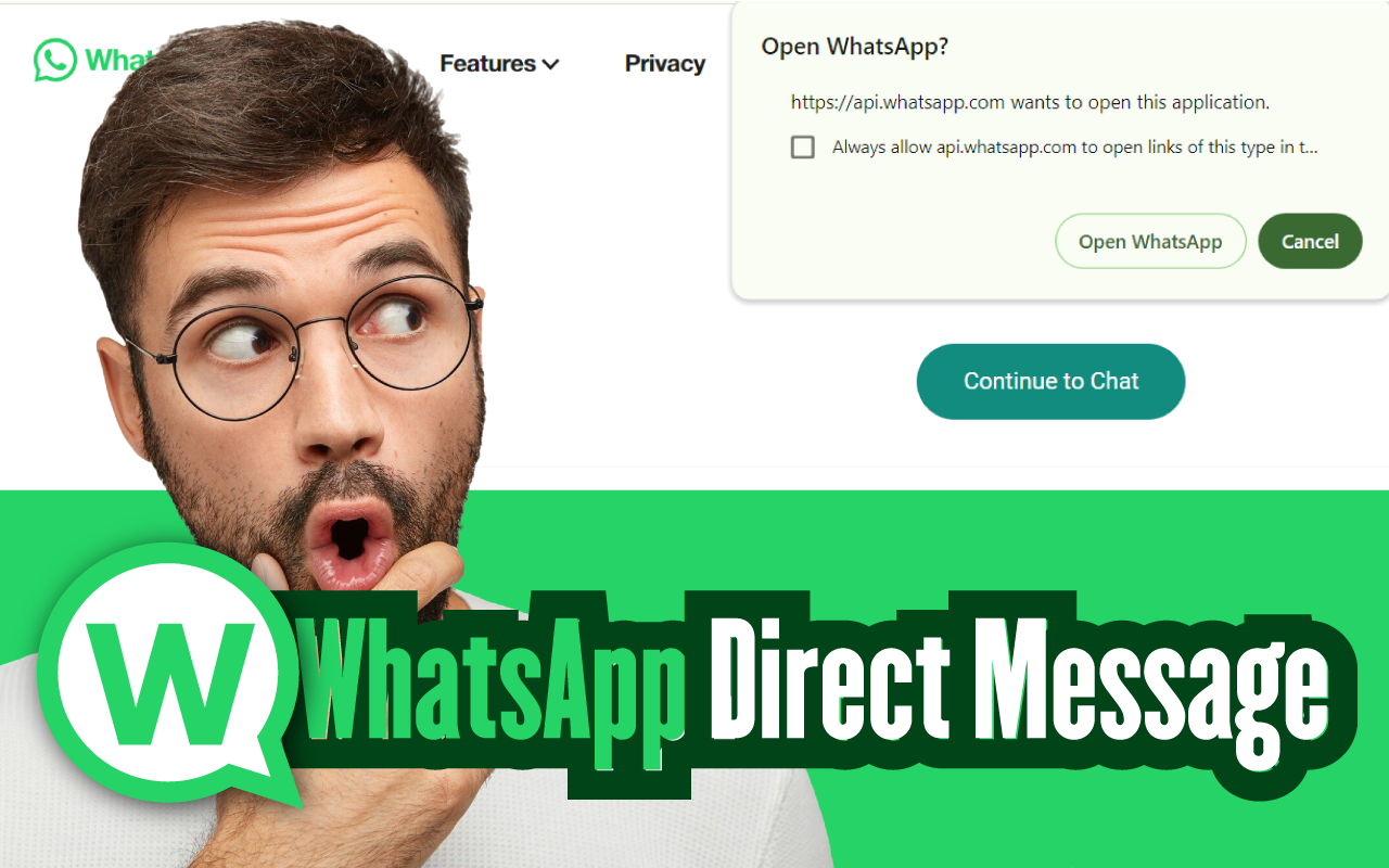 Direct WA Message Sender - 截图 3