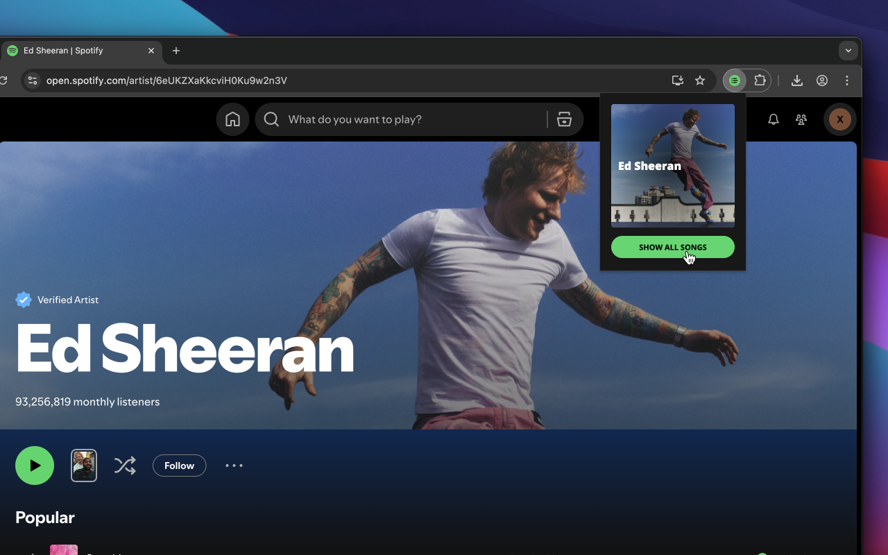 Spotify artist's all songs - 截图 2