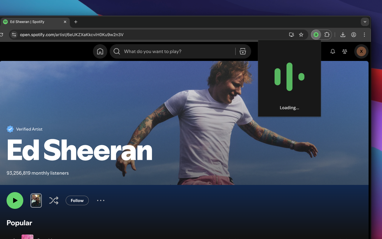 Spotify artist's all songs - 截图 3