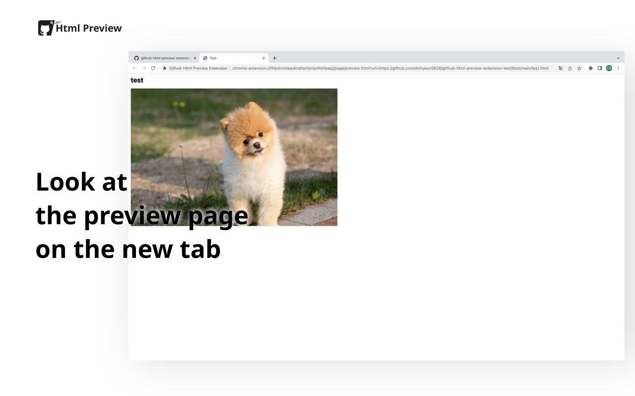 Github Html Preview - 截图 2