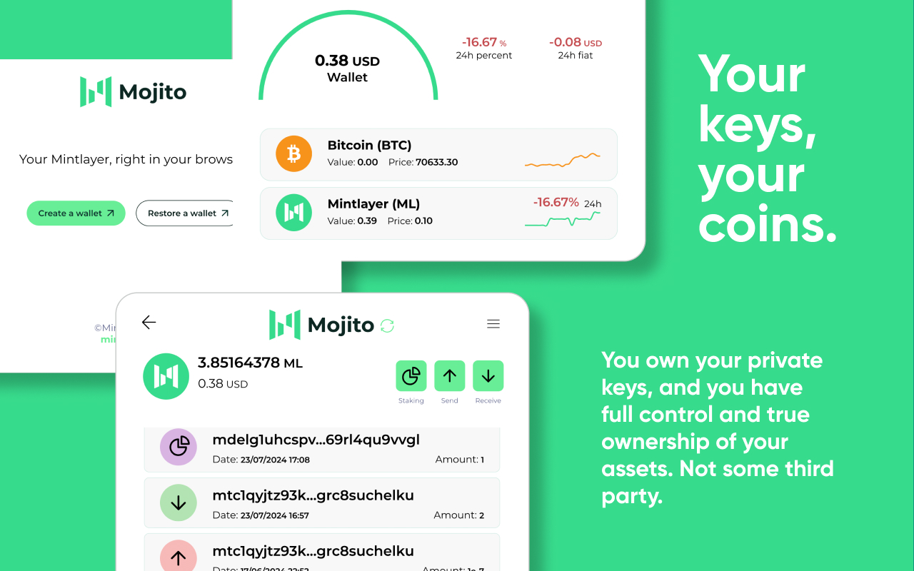 Mojito - A Mintlayer Wallet - 截图 1