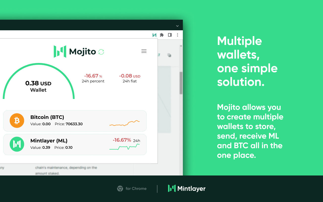 Mojito - A Mintlayer Wallet - 截图 3