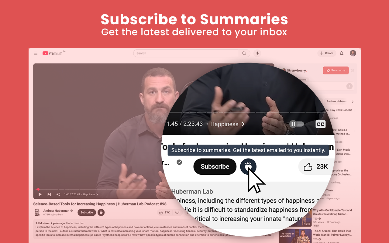 YouTube 摘要生成器和聊天 — Strawberry - 截图 5