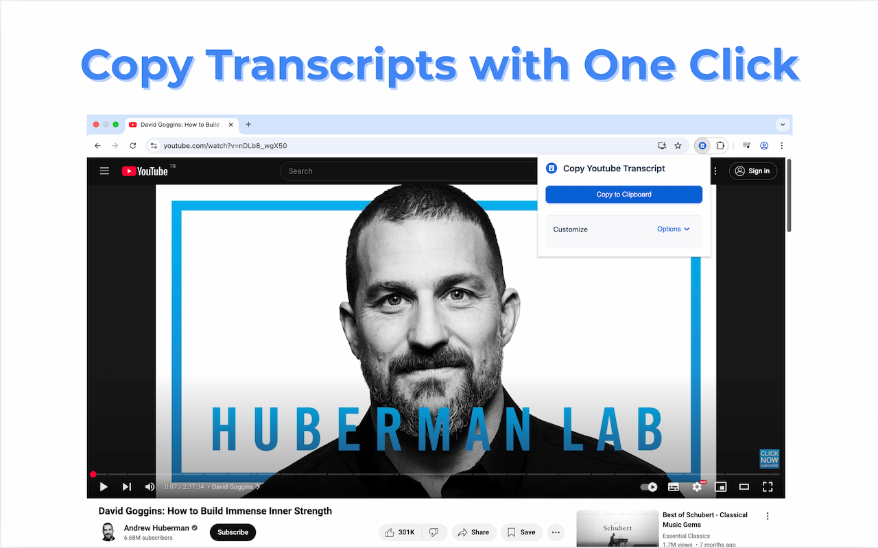 Copy Youtube Transcript - 截图 3