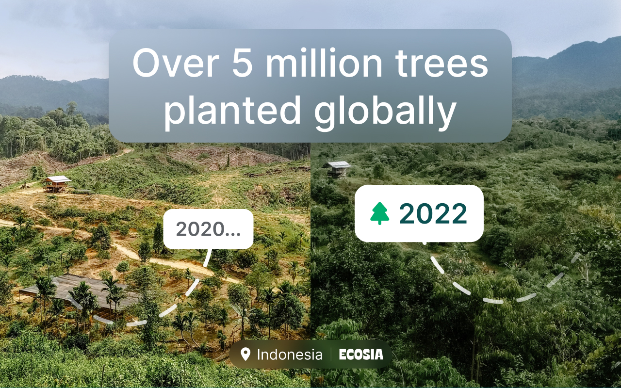 Wildhero - Eco-friendly Email - 截图 4