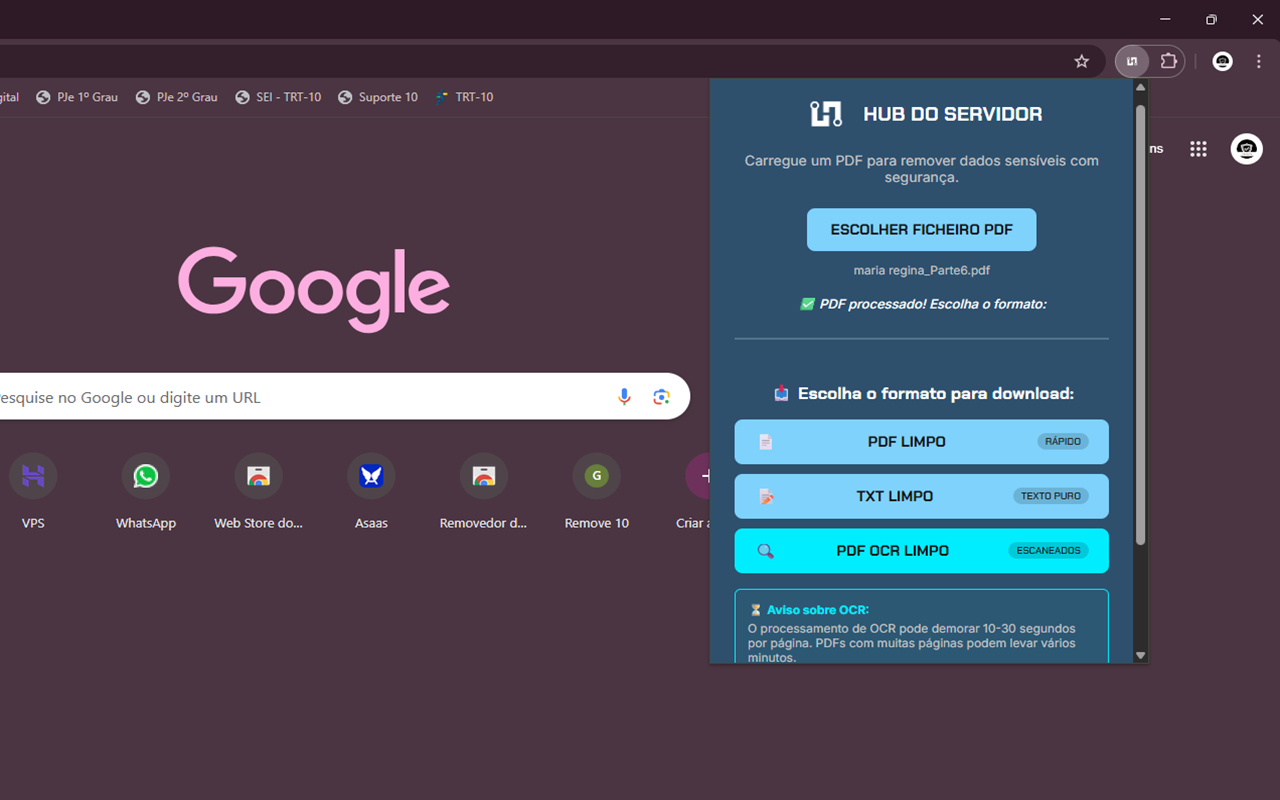 Removedor de Dados de PDF - 截图 2