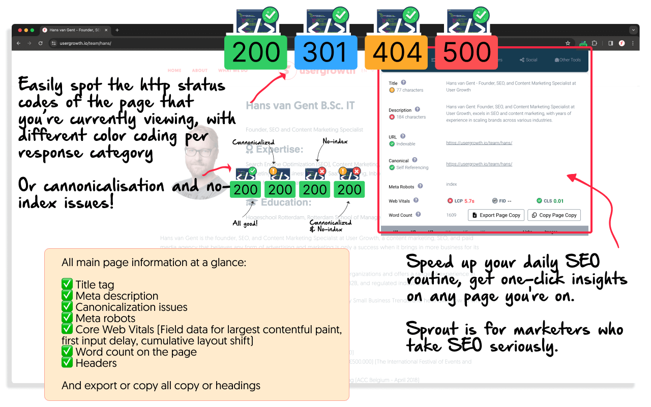 Sprout SEO Extension 🌱 - 截图 6