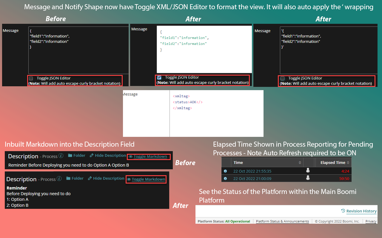 Boomi Platform Enhancer - 截图 3