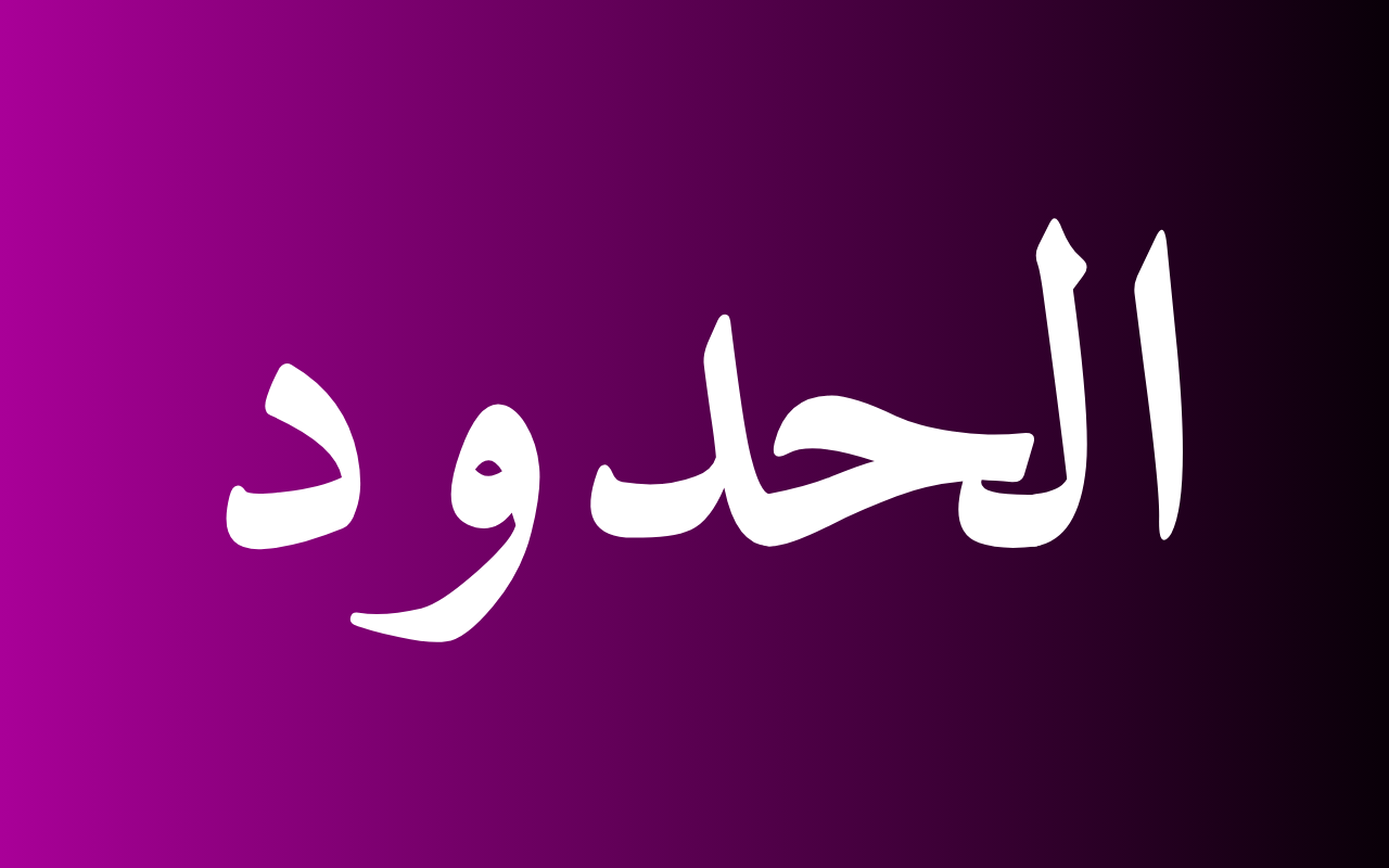 Al-Hudud: Block Haram, Browse Halal for Muslims - 截图 2