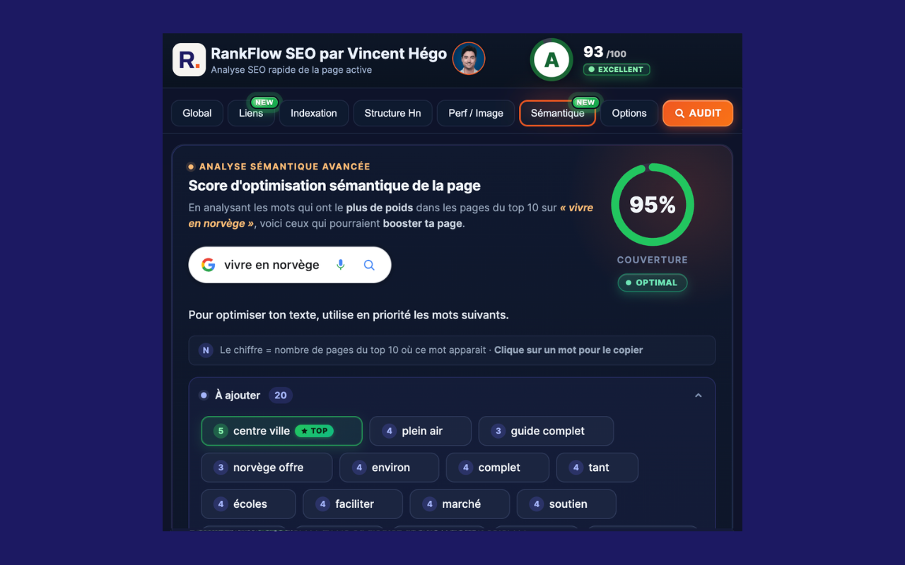 RankFlow SEO - 截图 4