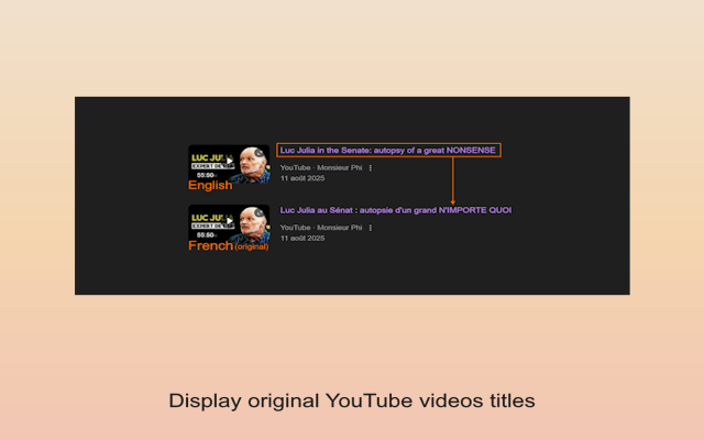 No Google Search Translation - 截图 1