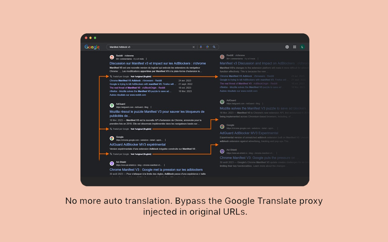 No Google Search Translation - 截图 2