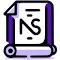 NetSuite Record Scripts