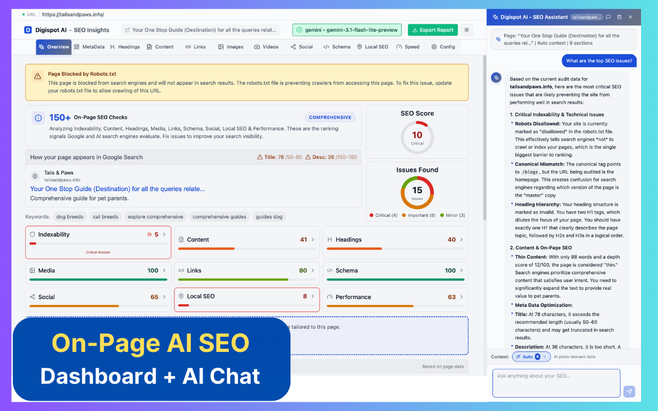 Digispot AI - SEO Insights - 截图 1