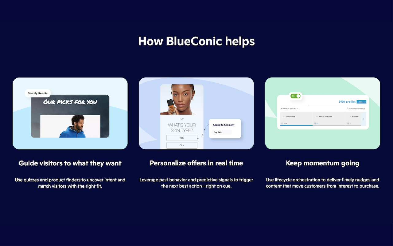 BlueConic - 截图 2
