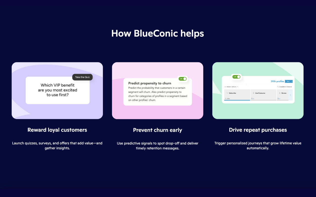 BlueConic - 截图 3