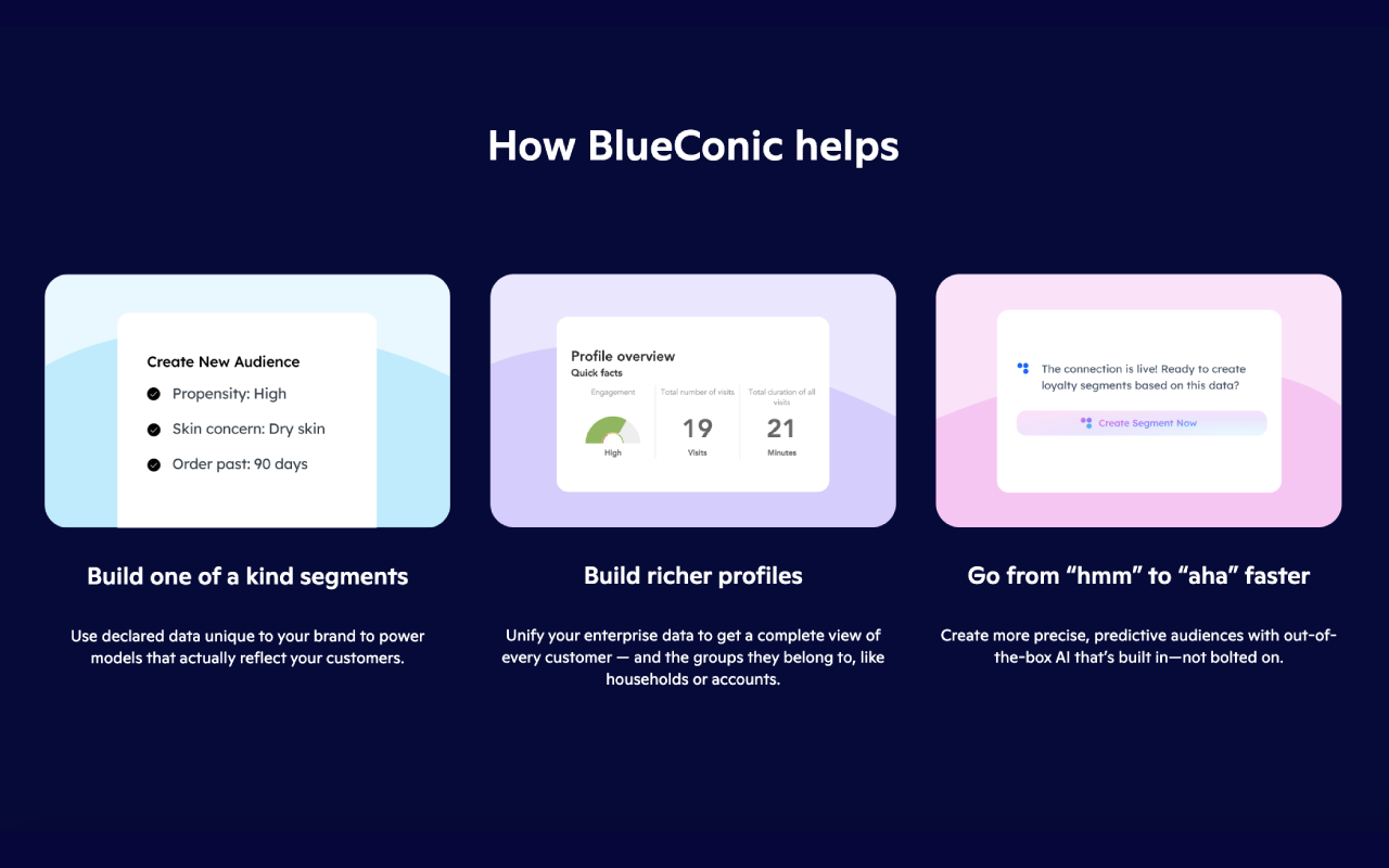 BlueConic - 截图 4