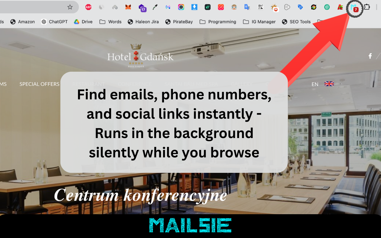 Mailsie – Automatic Email & Social Media Extractor - 截图 2