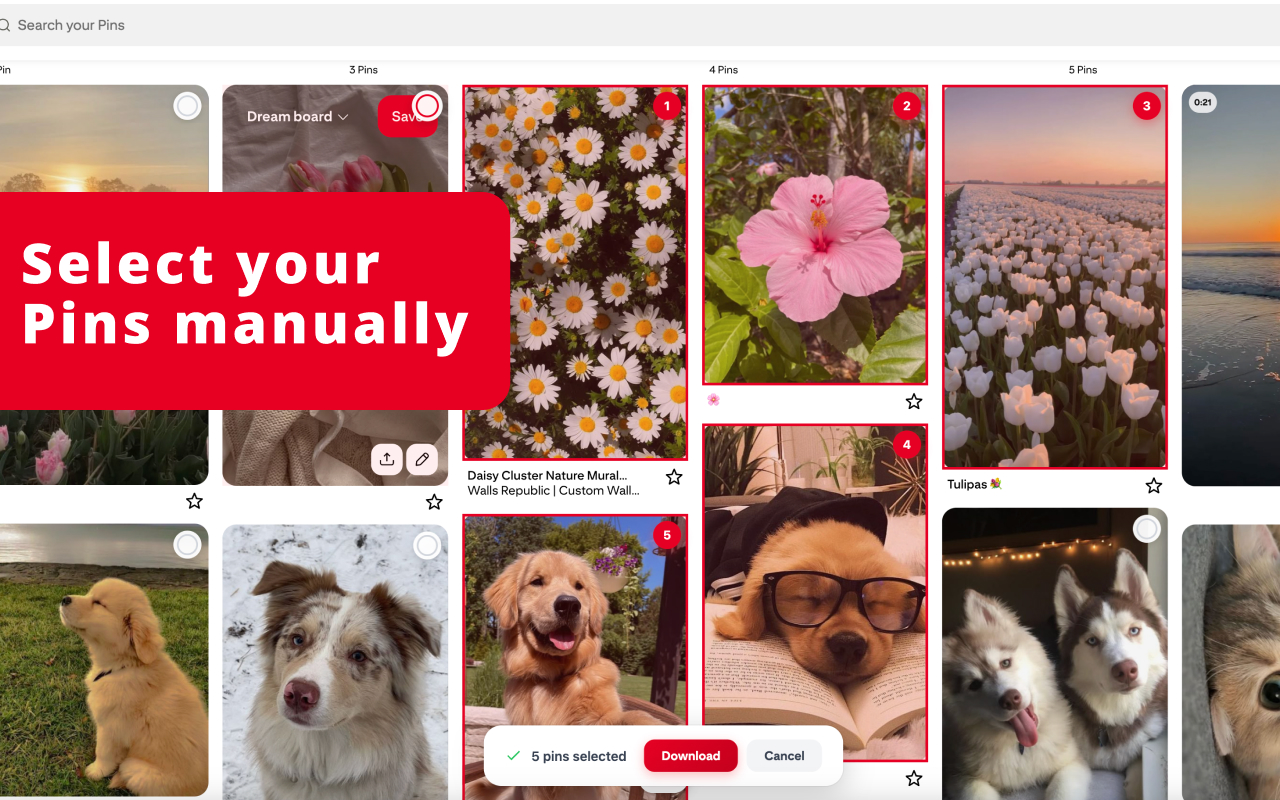 PinBoardSaver - Pinterest Board Downloader - 截图 3