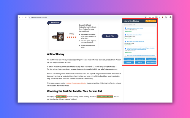 Internal Link Checker - 截图 2