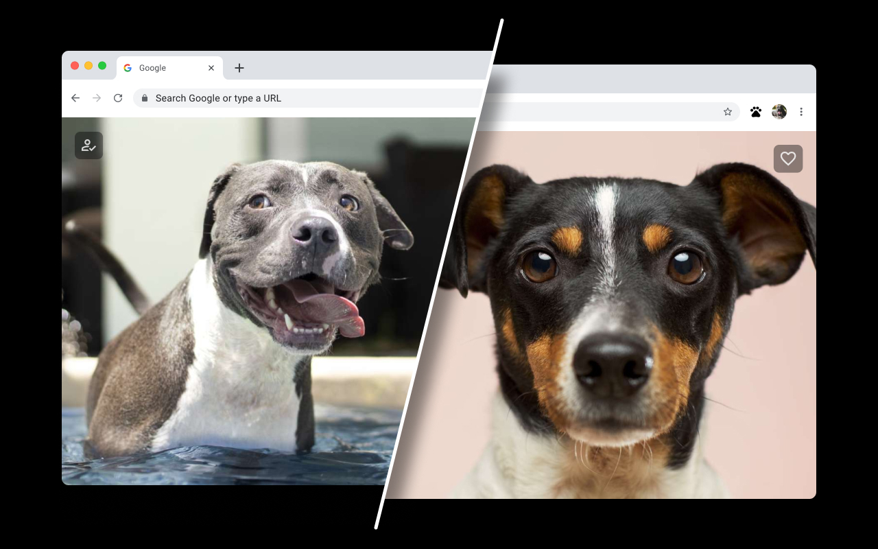 Dog Wallpapers for New Tab - 截图 1