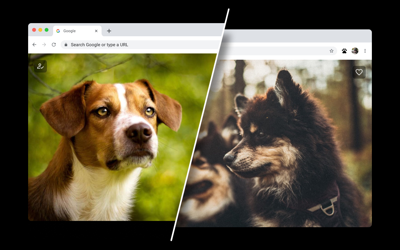 Dog Wallpapers for New Tab - 截图 2