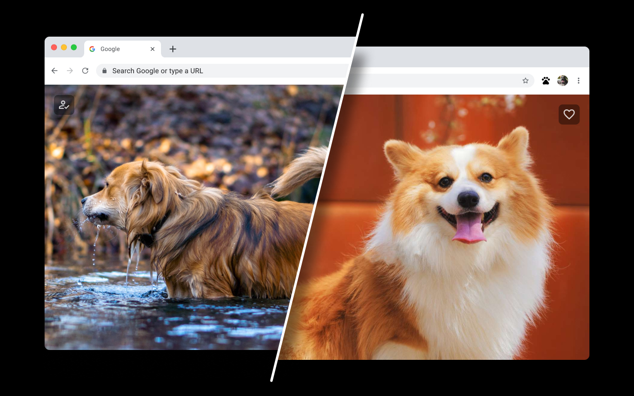 Dog Wallpapers for New Tab - 截图 3