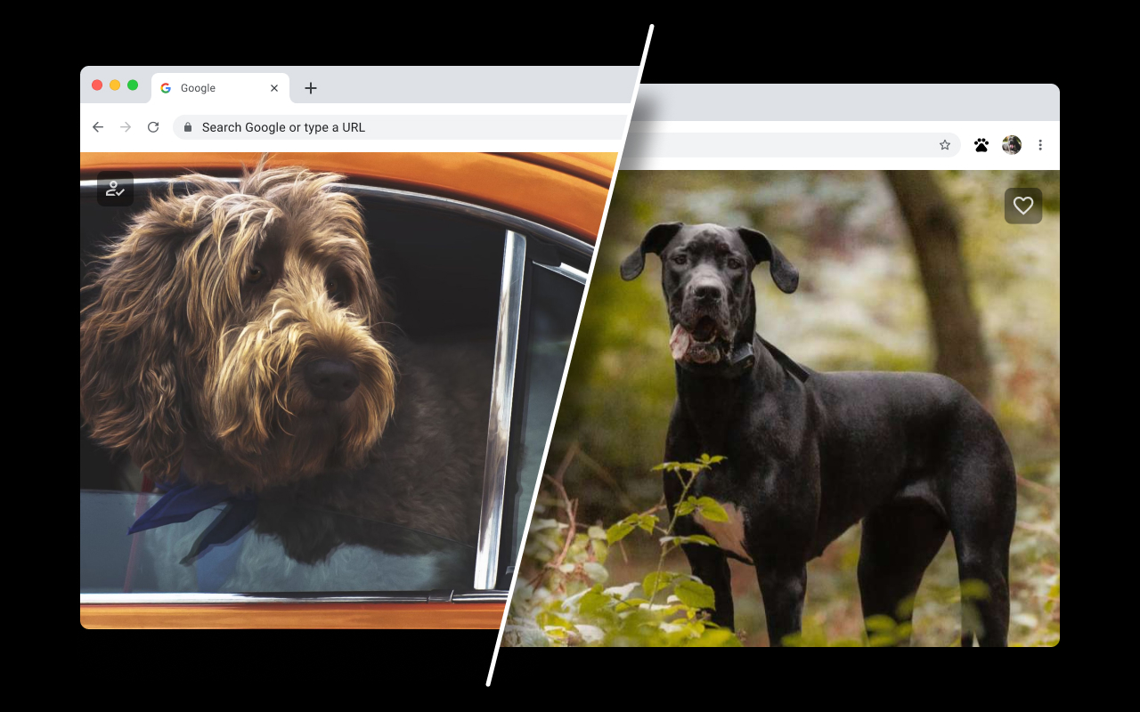 Dog Wallpapers for New Tab - 截图 4