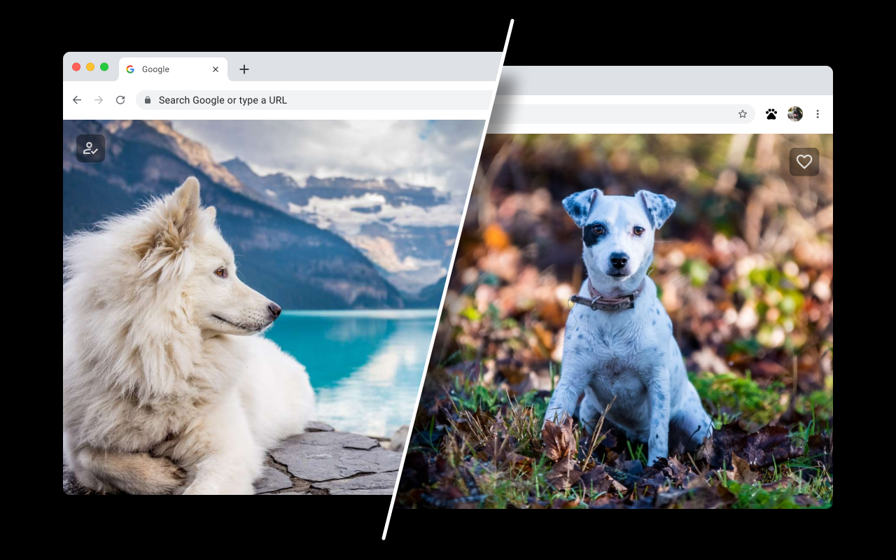 Dog Wallpapers for New Tab - 截图 5