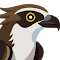 Osprey：浏览器保护