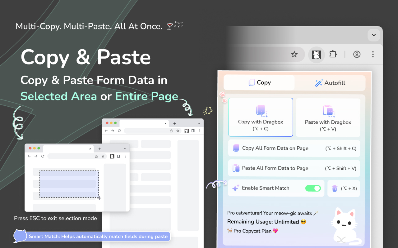 MultiField CopyCat - Copy, Paste & Autofill Forms Instantly - 截图 4