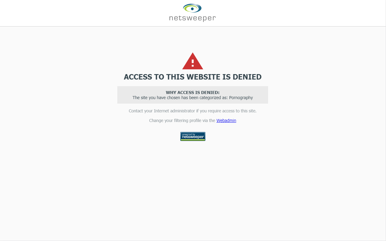 Netsweeper Client Filter - 截图 1