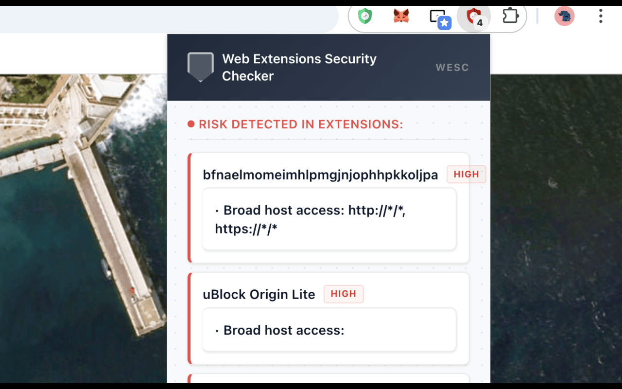 Web Extensions Security Checker - 截图 2