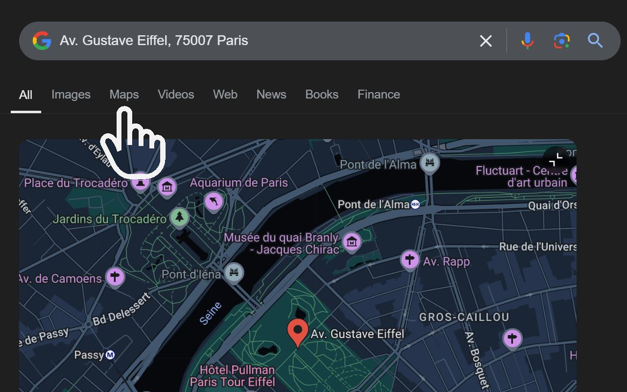 Google Search Maps Button - 截图 1