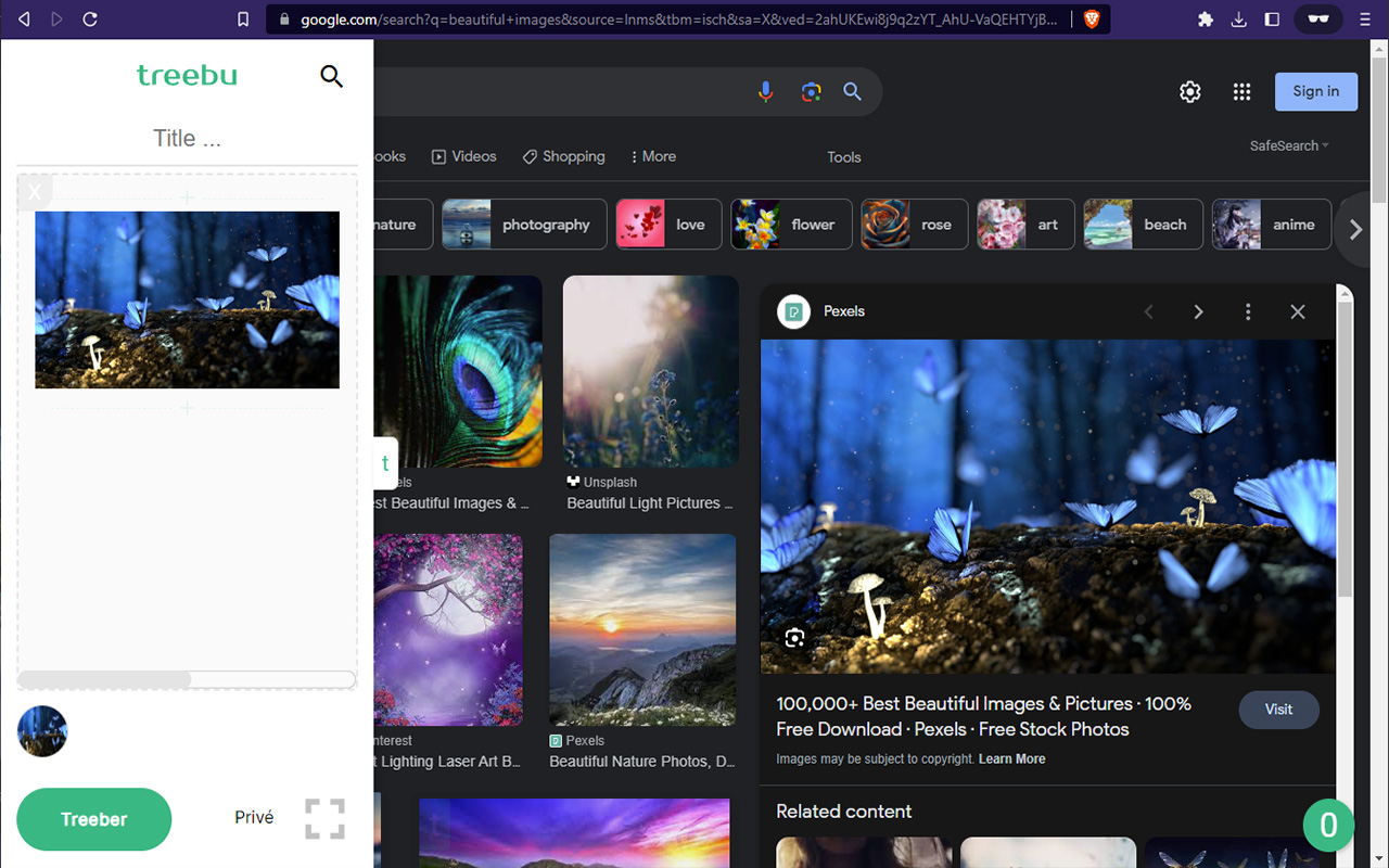 Treebu: Note-taking on the Web - 截图 5