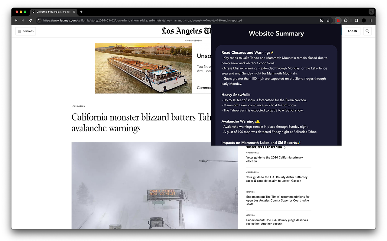 Website Summarizer - 截图 2